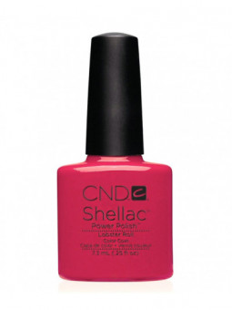 Shellac Lobster Roll