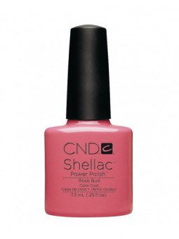 Shellac Rose Bud